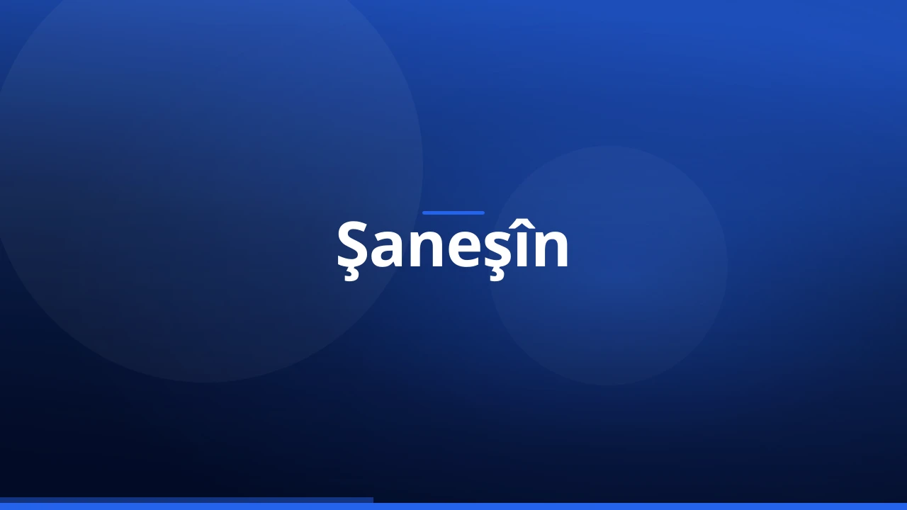Şaneşîn